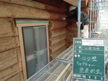 ステイニング(色素浸透)